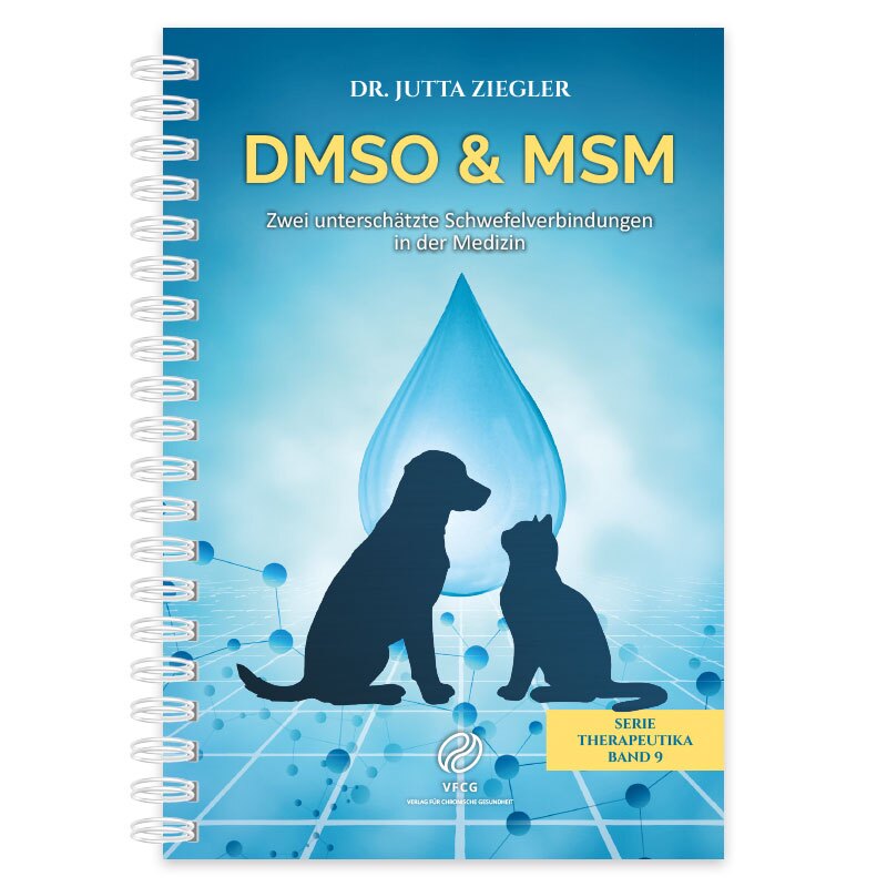 Buchcover ‚DMSO & MSM‘: Symbolische Darstellung zweier Schwefelverbindungen