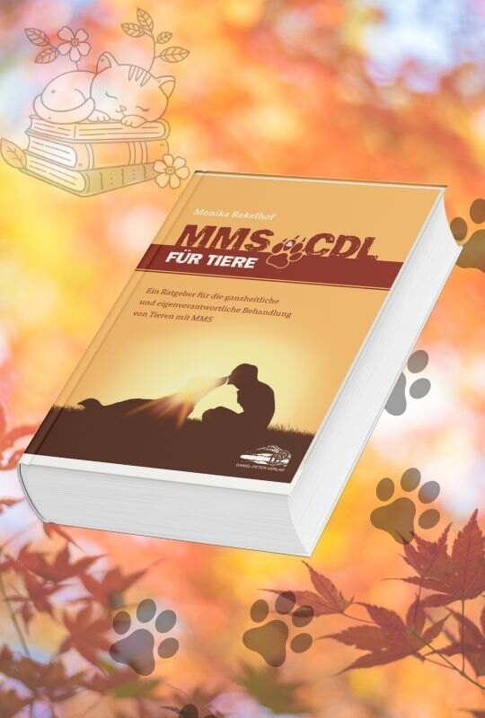 Buch als Mockup auf herbstlichen Hintergrund