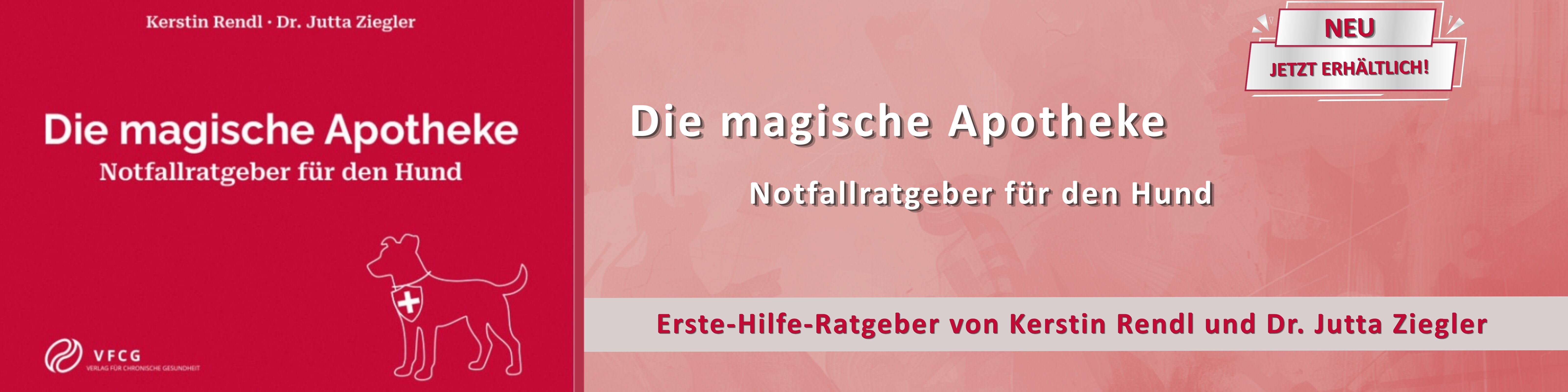 Buchcover Erste Hilfe Hund