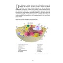 Neue Wege in der Hufkrebsbehandlung